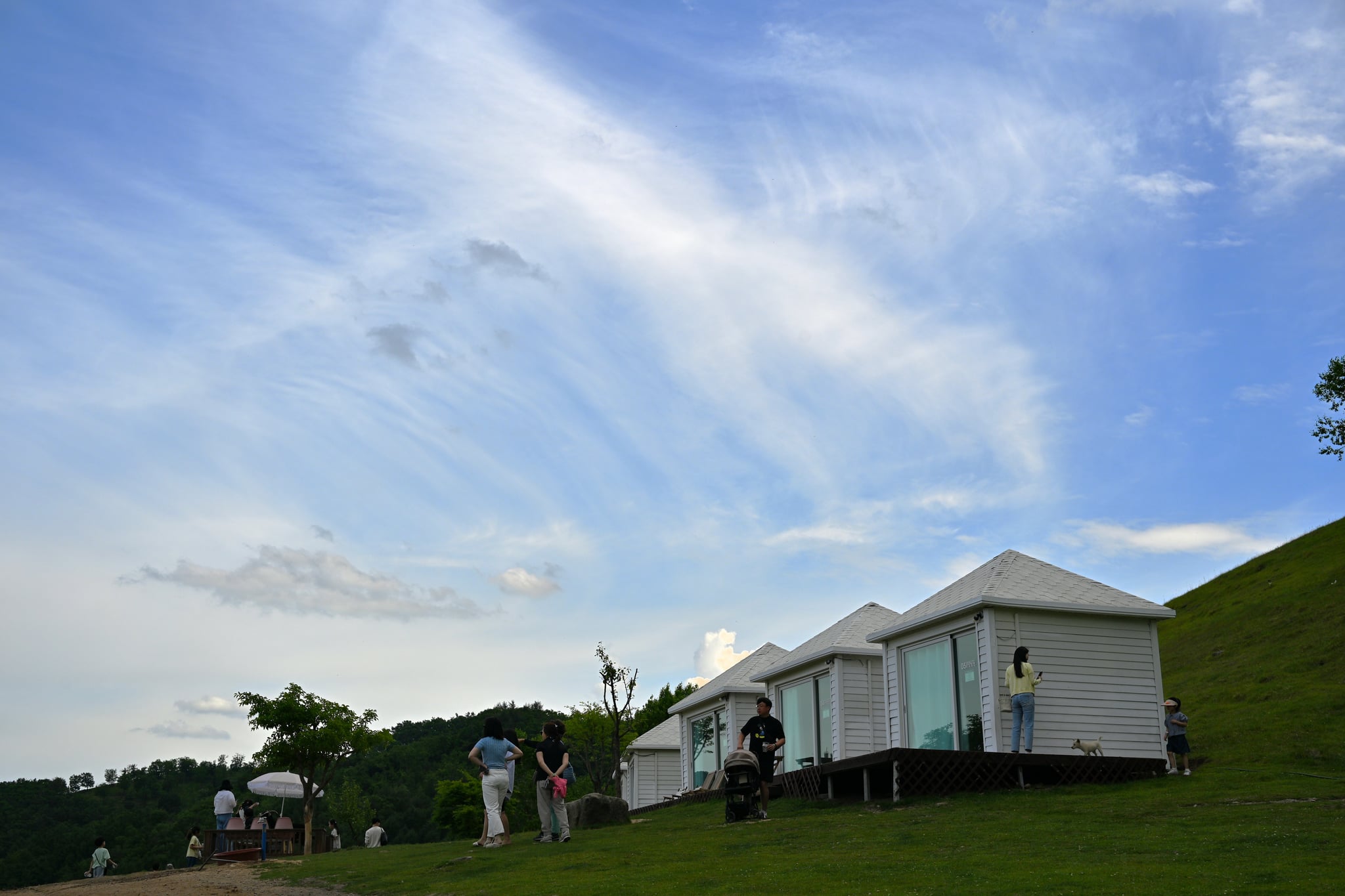 태백 몽토랑 산양목장의 목가적인 풍경