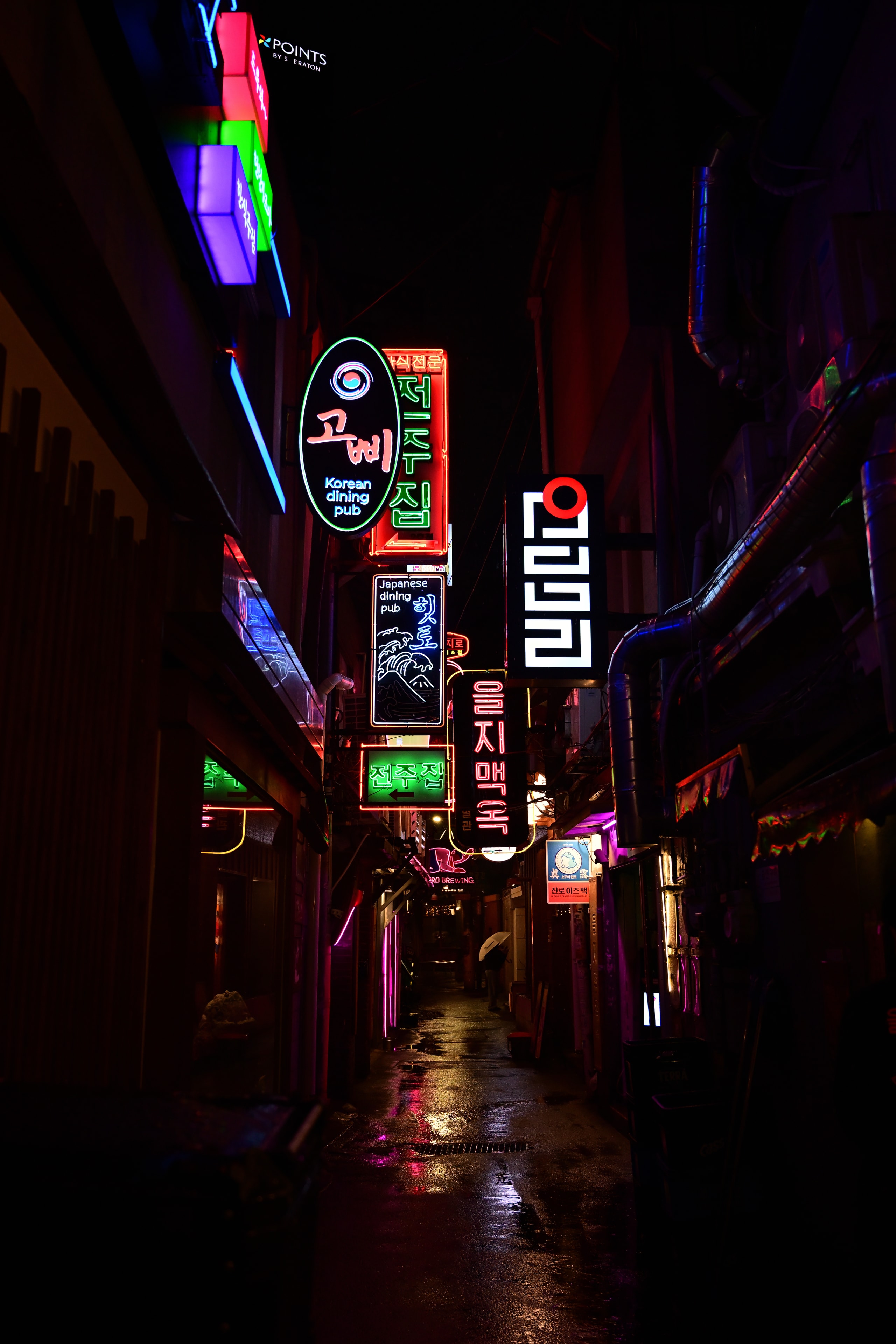 힙지로 네온의 밤: 비 내린 골목길의 유혹